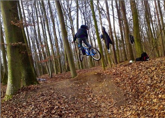 whip