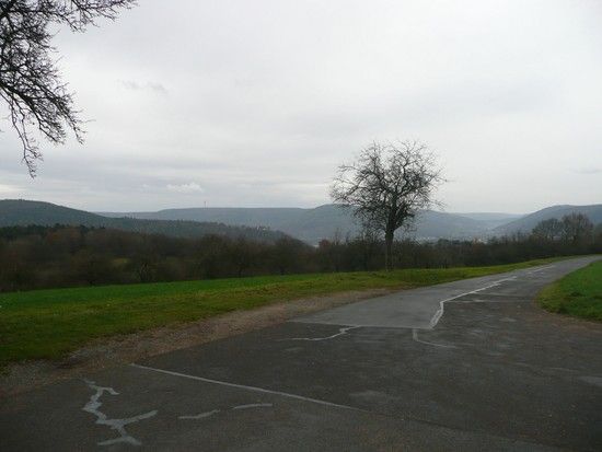 P1010736