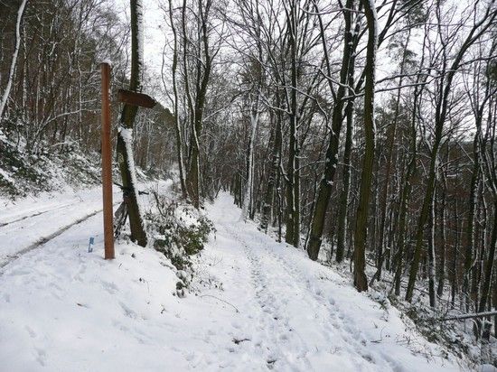 trail2