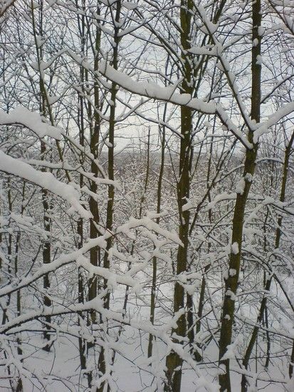 DSC00112