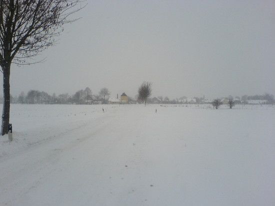 DSC00144