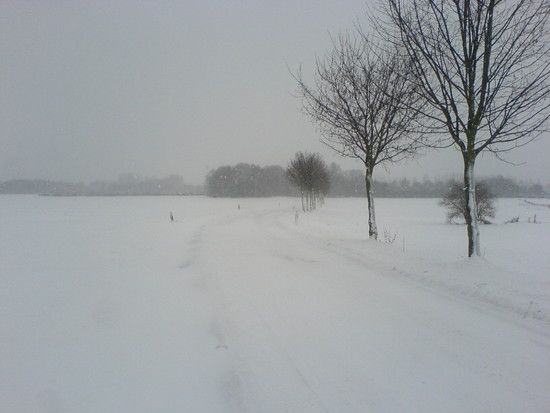 DSC00145