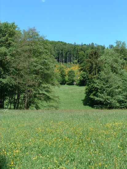 DSCF0031