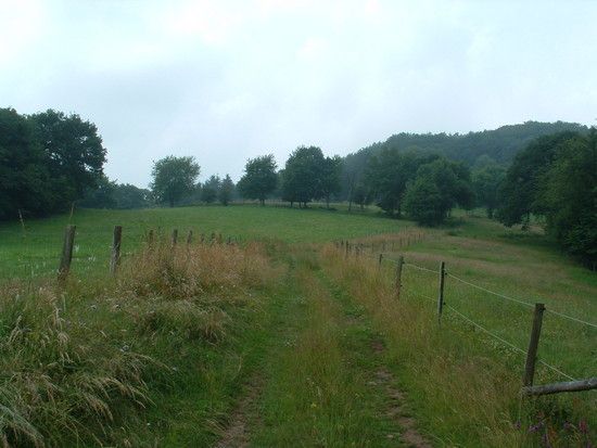 DSCF0090