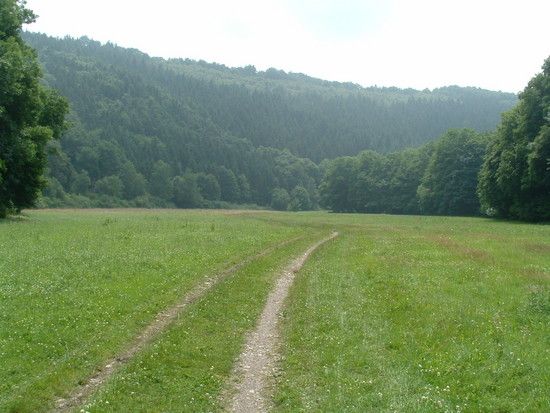DSCF0094