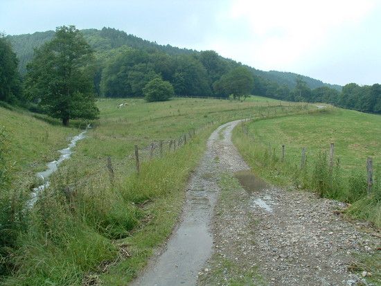 DSCF0095