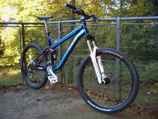 Pitch im Wald