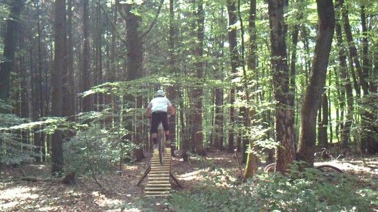 neuer trail drop hinten