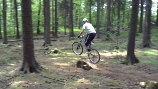 neuer trail holzkicker.