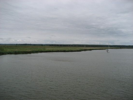 IMG_0460.JPG