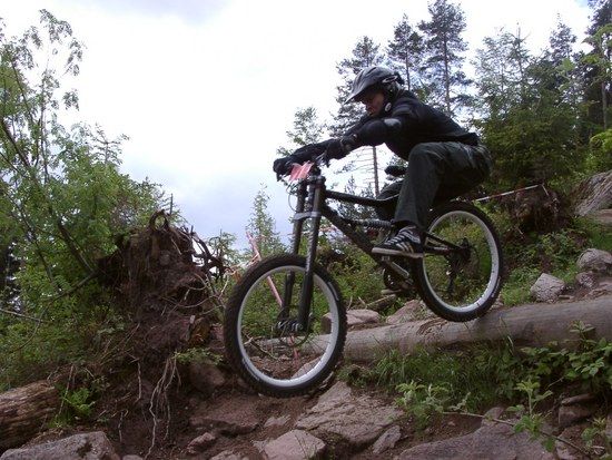 Ben, Bullit und Bergman in Wildbad