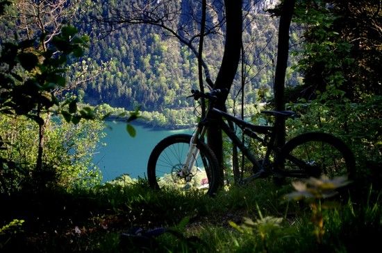 seeblick