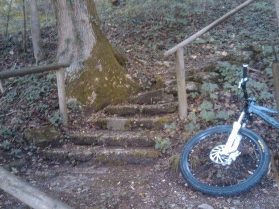 treppe1