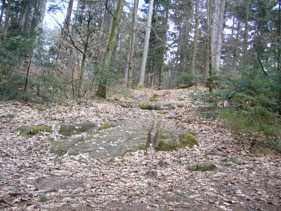 P1020246