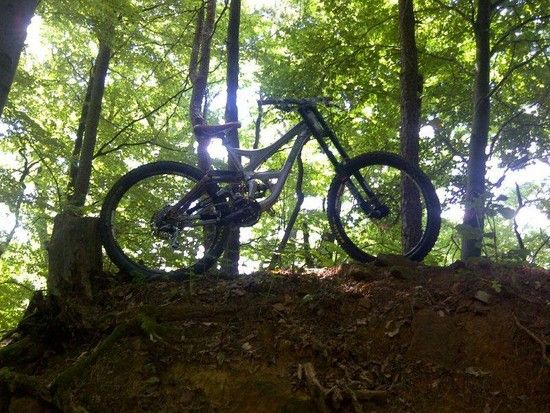 NeumarktinderOberpfalz-20110802-00055