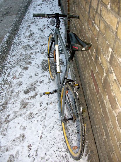 kona paddywagon 6