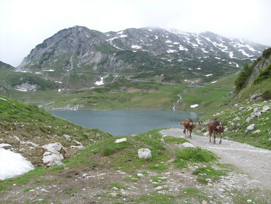 Alpen2008002