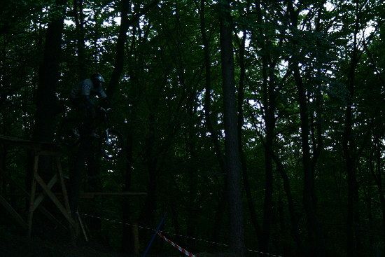 IMG 2779
