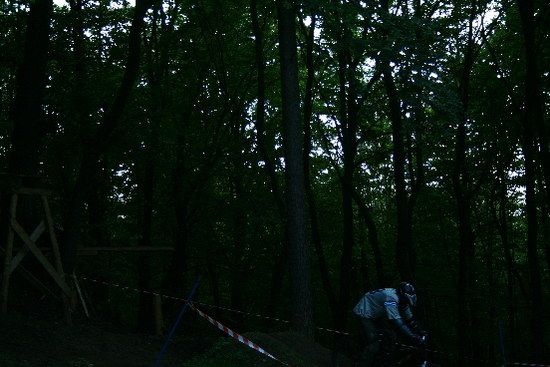 IMG 2781