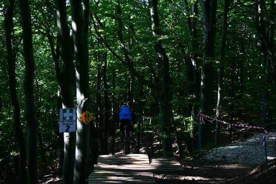 IMG 2787