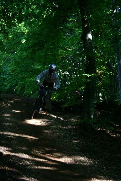 IMG 2789