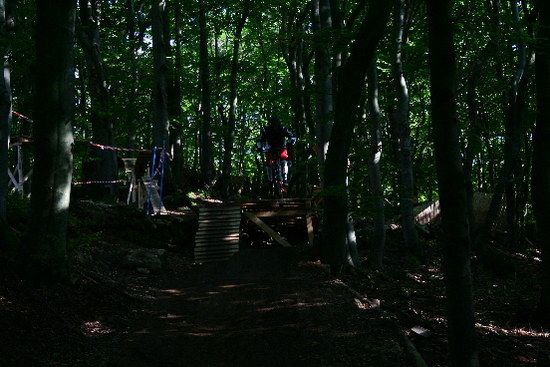 IMG 2790