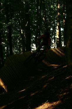 IMG 2795
