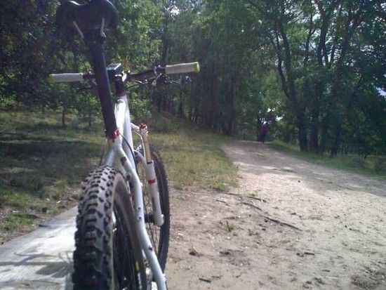 Dillinger2 29er