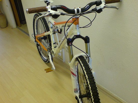 Evolve-Custom