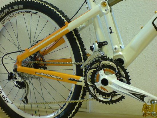 Evolve-Custom7