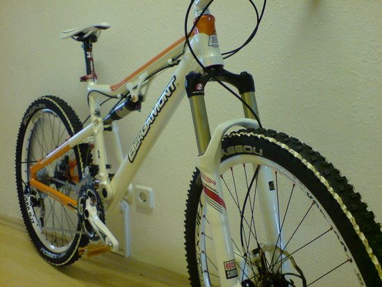 Evolve-Custom8