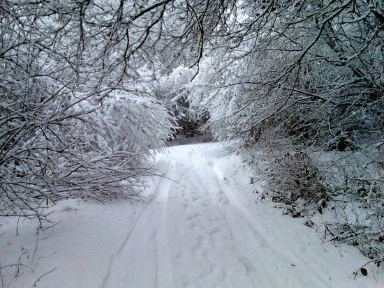 30.01.10SchmelzRi.Tanneck2