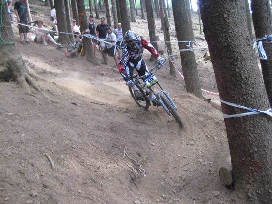 Rittershausen2010....