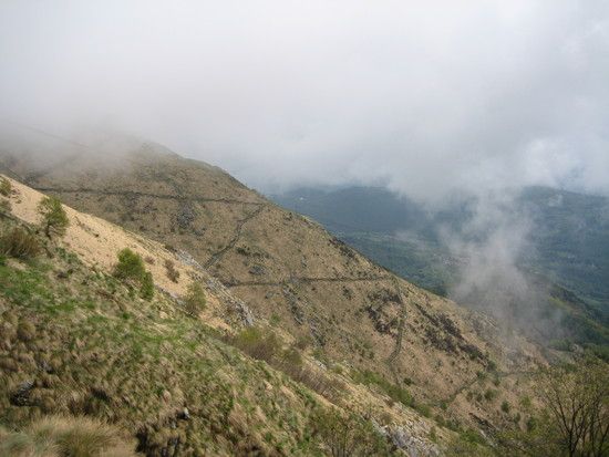 IMG 0218