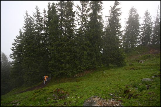 Leogang Bikepark I