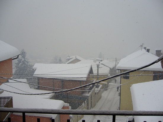 mitteDez1