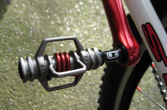 vertex - 13