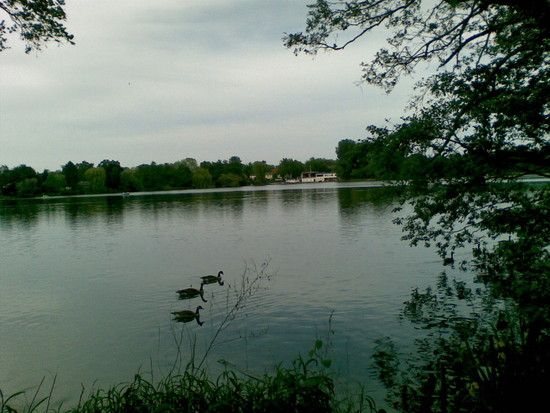 23052009005