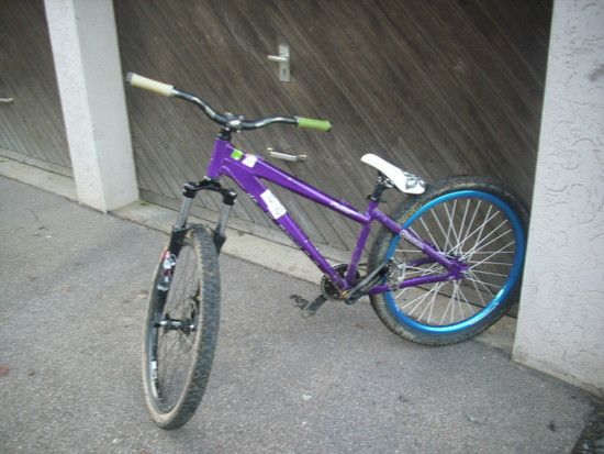 DSCI1681