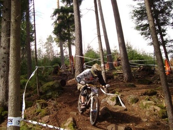 RidingWildbad