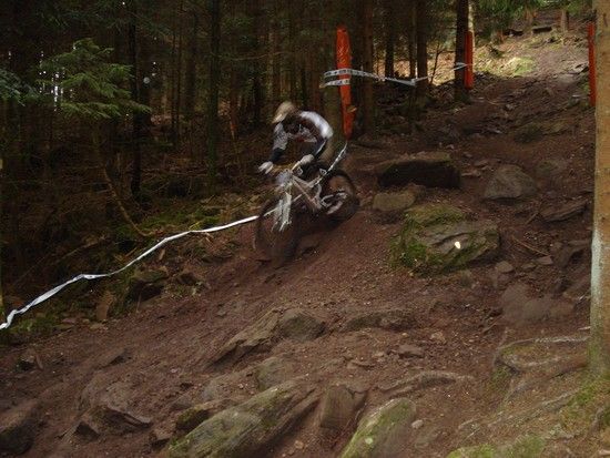 Wildbad2
