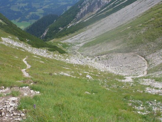 P1000634