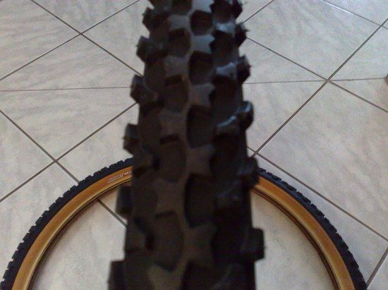 skinwall2