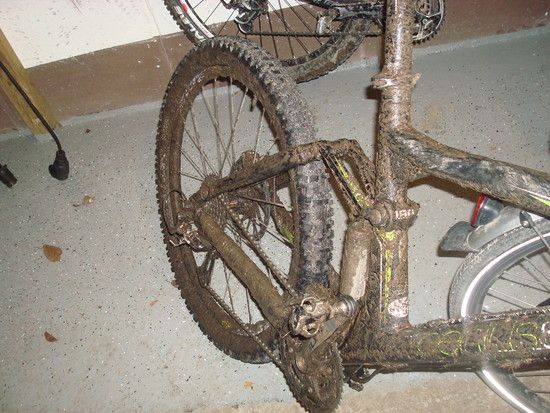 eingesaut