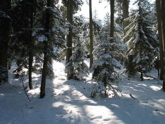 BikeTourWinter005