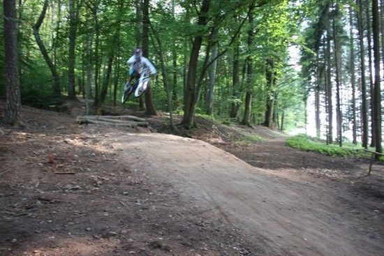 IMG 1384