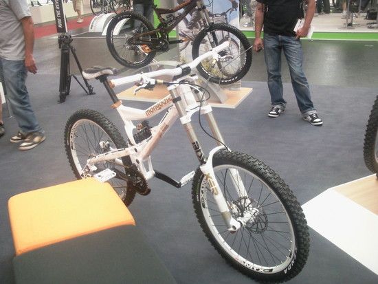 Mongoose