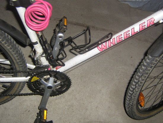 IMG 0005