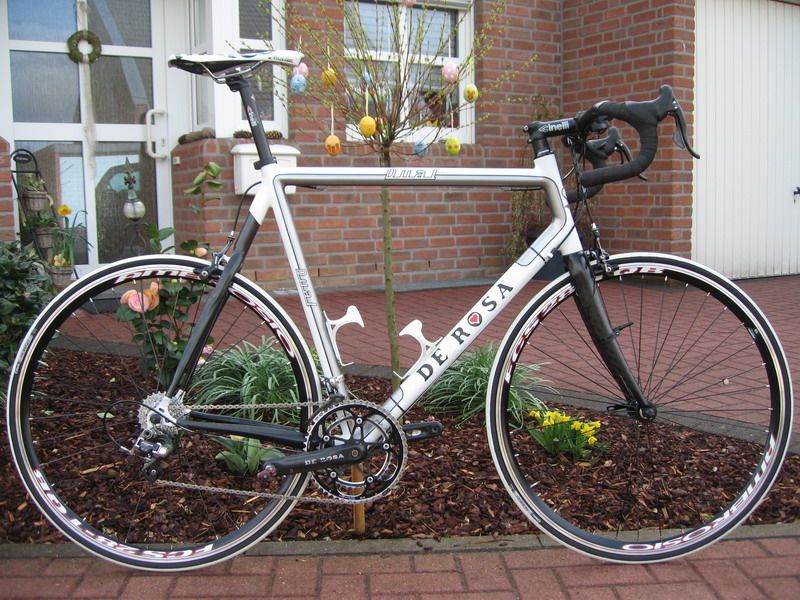 De rosa dual 2025