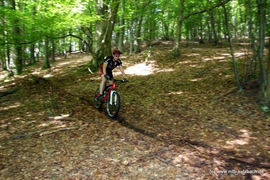02Sulzbach2009